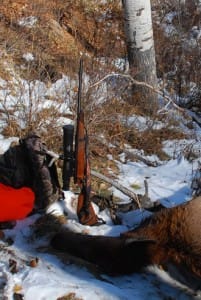 Eliminator's first elk